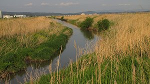 IMG_1404.jpg