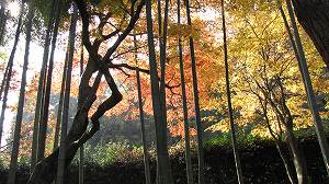 IMG_7560.jpg