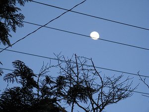 画像 034.jpg