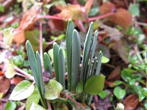 IMG_9563.jpg