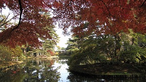 画像 072.jpg