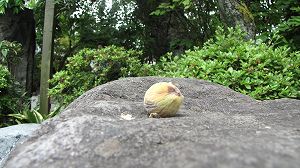IMG_3764.jpg