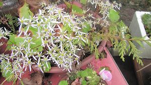 画像 024.jpg