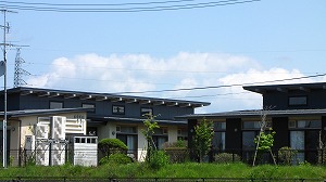 IMG_1596.jpg