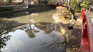 画像 407.jpg
