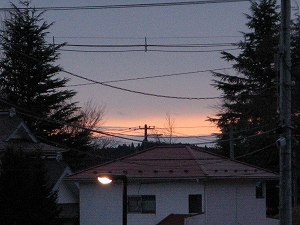 IMG_7784.jpg