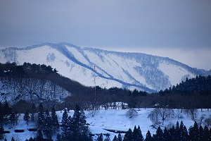 IMG_4531.jpg