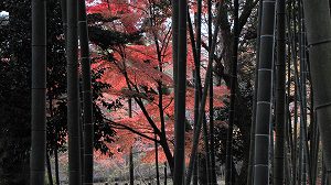 IMG_6901.jpg