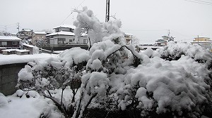 画像 044.jpg