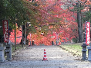 画像 155.jpg