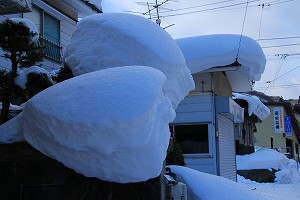 IMG_4517.jpg