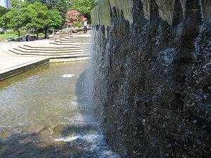 IMG_5117.jpg