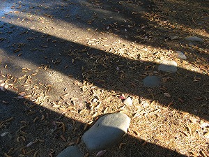画像 094.jpg