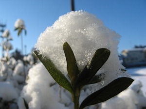 IMG_1080.jpg