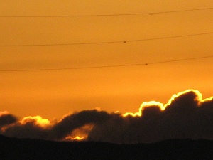 IMG_6145.jpg