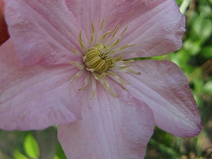 IMG_3757.jpg