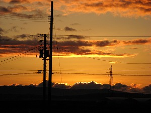 IMG_6147.jpg
