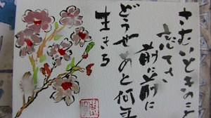 IMG_9372.jpg