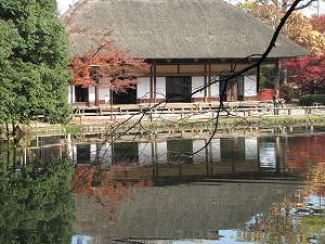 IMG_7536.jpg