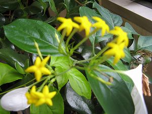 画像 044.jpg