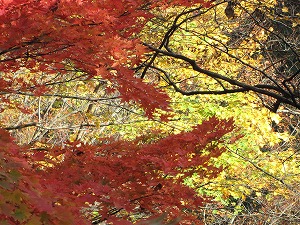 画像 082.jpg