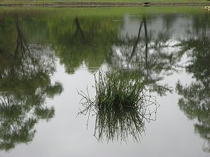IMG_5413.jpg