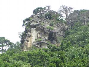 IMG_5411.jpg