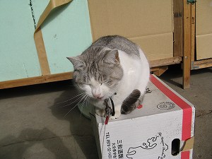 画像 061.jpg