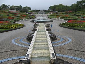 IMG_5392.jpg