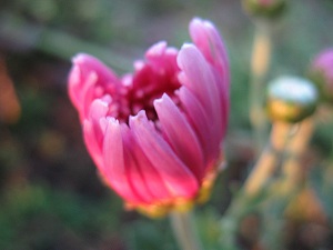 IMG_5741.jpg