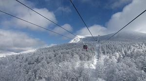 IMG_1811.jpg