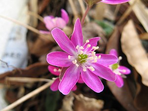 画像 082.jpg