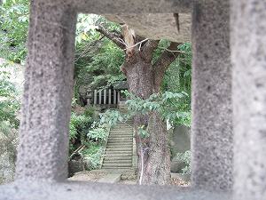 IMG_5421.jpg