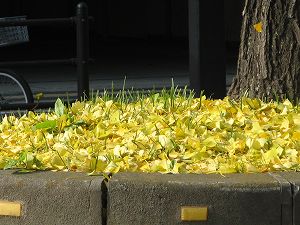 画像 019.jpg