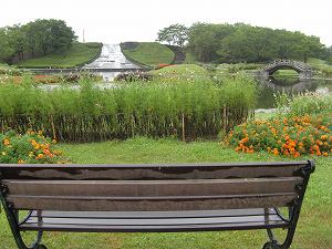 IMG_5442.jpg