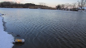 IMG_8995.jpg