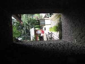 IMG_5448.jpg