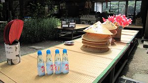 IMG_5455.jpg