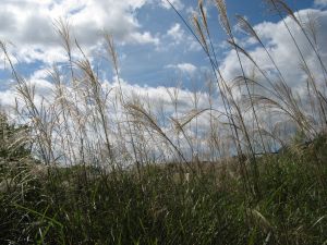 IMG_5576.jpg