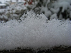 IMG_0944.jpg