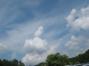 IMG_4878.jpg