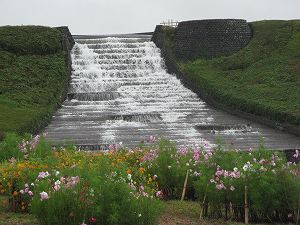 IMG_5436.jpg