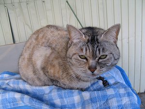 画像 050.jpg