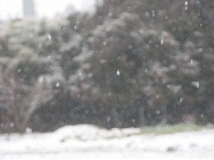IMG_0033.jpg