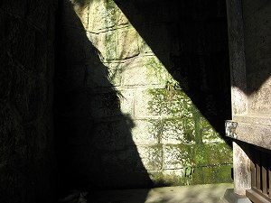 IMG_7660.jpg