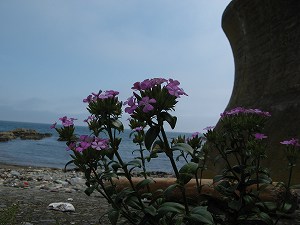 IMG_4248.jpg