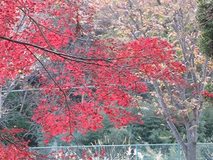 画像 160.jpg