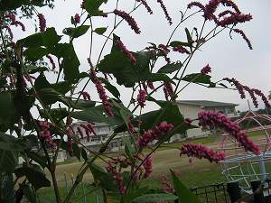 IMG_5503.jpg