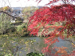 画像 091.jpg