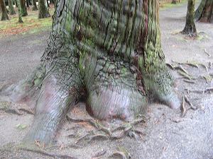 画像 043.jpg